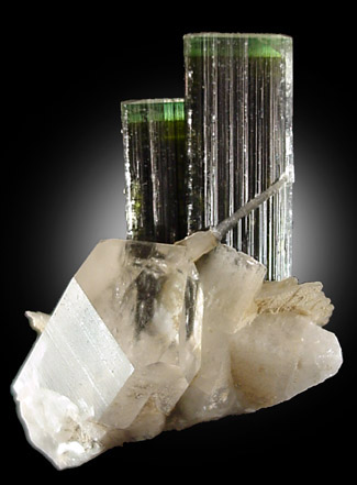 Mineral Specimens: Elbaite Tourmaline, Quartz, Albite from Stak Nala, Skardu Road, Gilgit, Pakistan