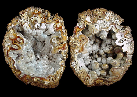 Mineral Specimens: Quartz pseudomorph after Coral from Suwanee River, Suwanee County, Florida