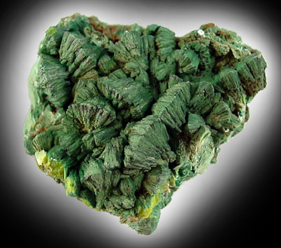 Mineral Specimens: Torbernite from Allier, Central Massif area, France