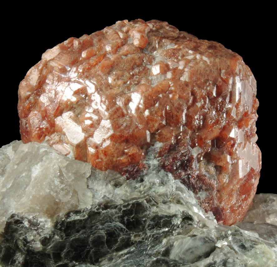 Detail view of mineral Almandine Garnet in Muscovite-Quartz matrix for sale from excavation for bank on South Street in lower Manhattan Island, New York City, New York County, New York