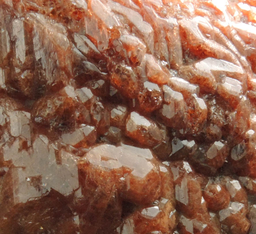 Detail view of mineral Almandine Garnet in Muscovite-Quartz matrix for sale from excavation for bank on South Street in lower Manhattan Island, New York City, New York County, New York