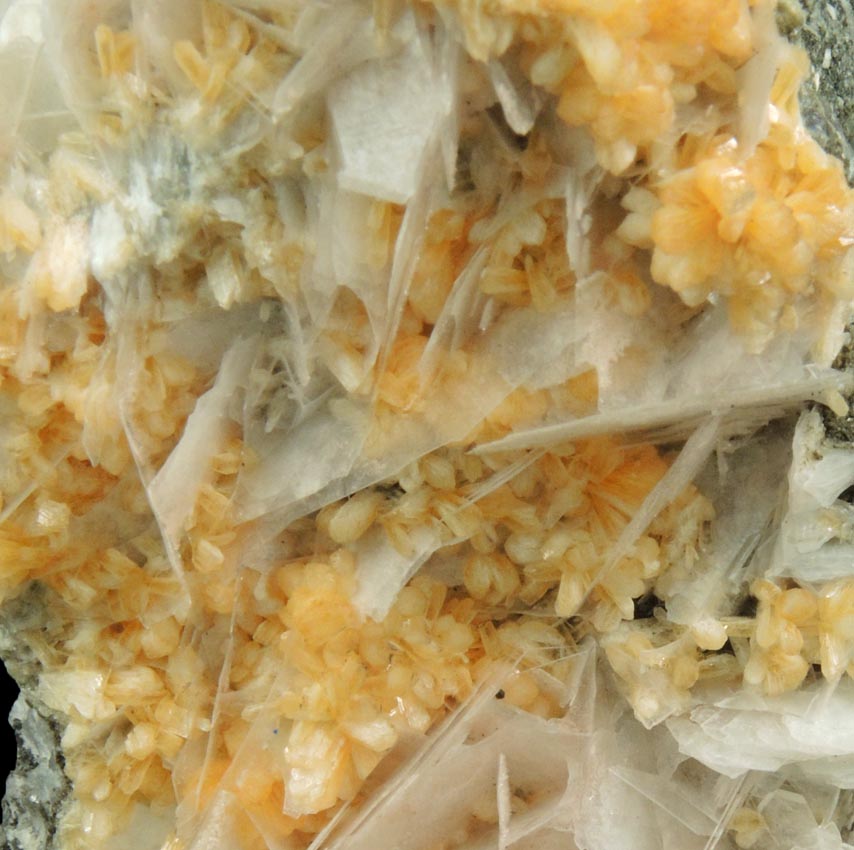 Detail view of mineral Stilbite-Ca and Calcite for sale from Water Tunnel No.3 under Roosevelt Island, New York City, New York County, New York