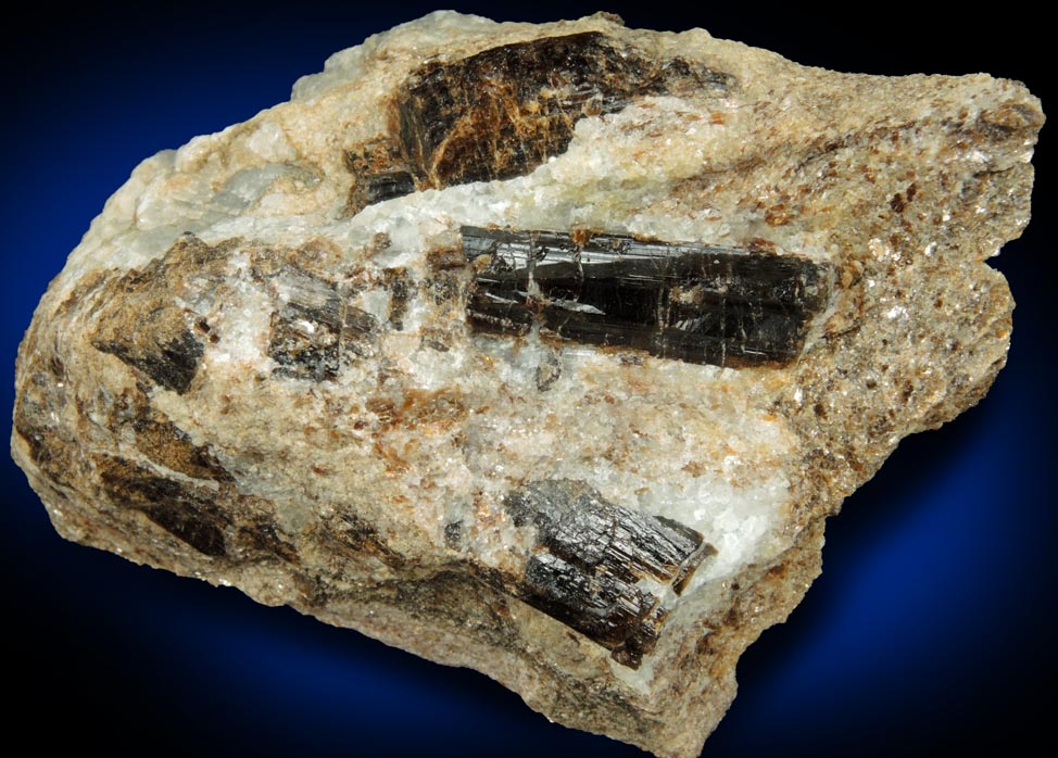 Mineral Dravite-Uvite Tourmaline in Inwood Marble for sale from northwest corner of 207 Street and Broadway, Manhattan Island, New York City, New York County, New York