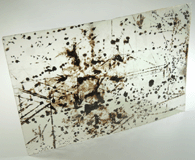 Muscovite with oriented magnetite, rutile, hematite inclusions for sale from 93rd Street at Riverside Drive, Manhattan Island, New York City, New York County, New York