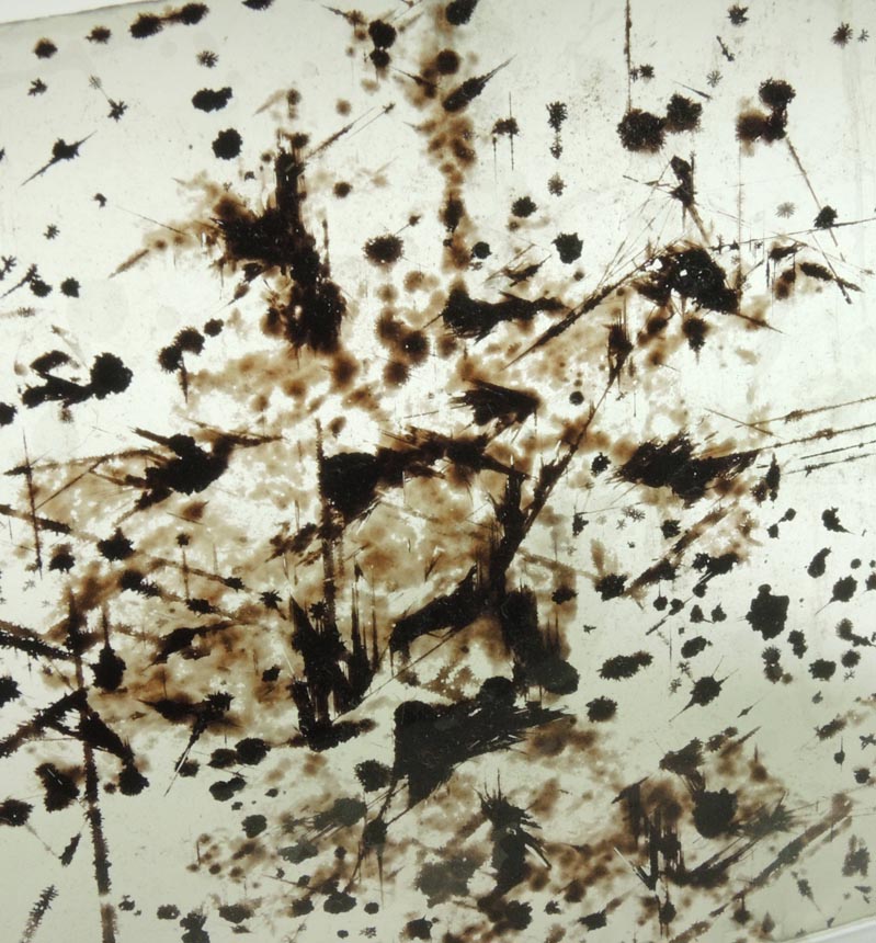 Detail view of mineral Muscovite with oriented magnetite, rutile, hematite inclusions for sale from 93rd Street at Riverside Drive, Manhattan Island, New York City, New York County, New York