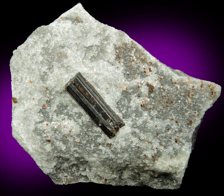 Mineral Dravite-Uvite Tourmaline in Inwood Marble for sale from Harlem Ship Canal excavation, norther Manhattan Island, New York City, New York County, New York