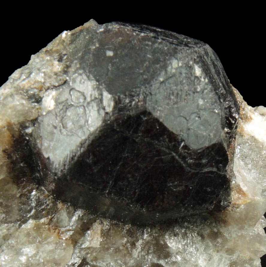 Detail view of mineral Almandine Garnet for sale from Manhattan Island, New York City, New York County, New York