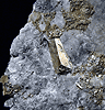 Mineral specimen: Pyrite in Franklin Marble from Lime Crest Quarry, Sparta, New Jersey.