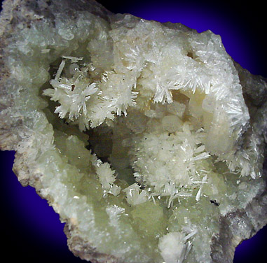 Mineral Specimens: Pectolite and Apophyllite on Datolite from Millington Quarry, Millington, New Jersey