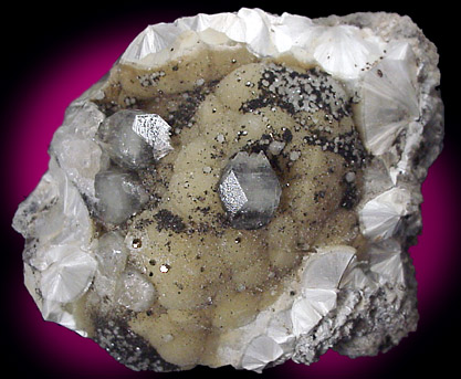 Mineral Specimens: Apophyllite and Pyrite on Pectolite from Millington Quarry, Millington, New Jersey